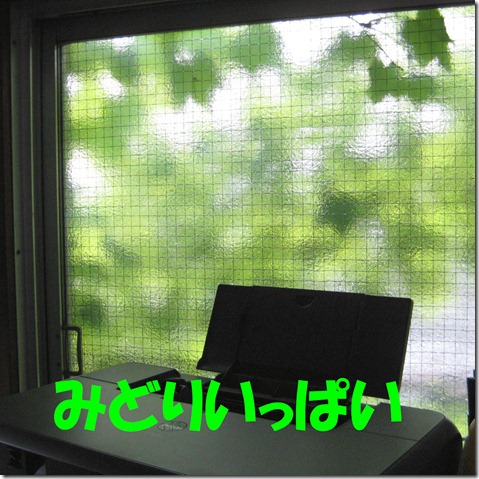 IMG_9629みどりいっぱい