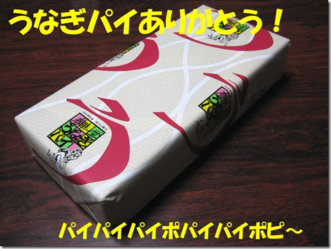 IMG_9664うなぎぱい