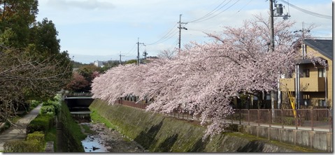 IMG_0004コーナン