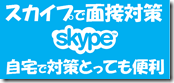 1スカイプ3