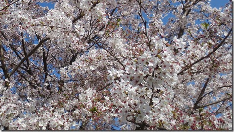 公務員試験面接セミナー