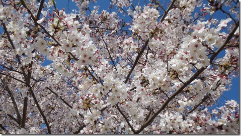 公務員試験面接セミナー