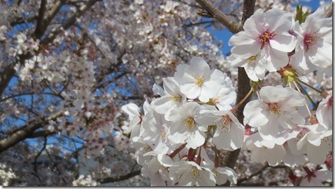 公務員試験面接セミナー