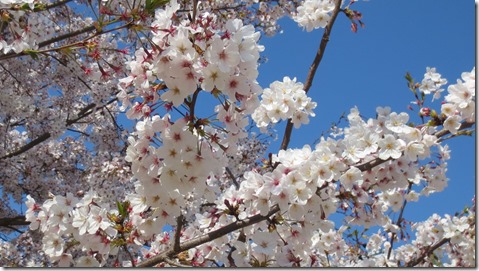 公務員試験面接セミナー