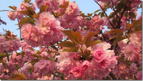 公務員試験面接セミナー