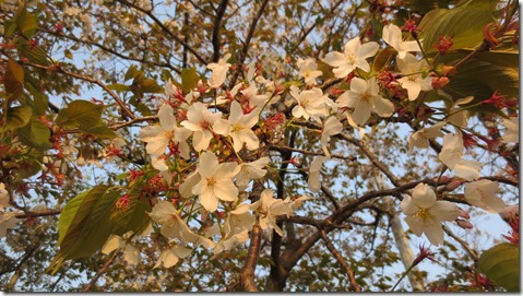 公務員試験面接セミナー