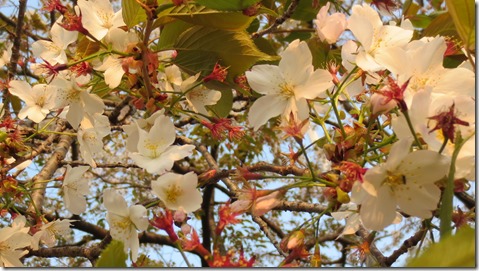 公務員試験面接セミナー