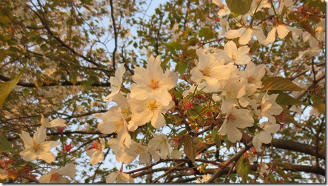 公務員試験面接セミナー