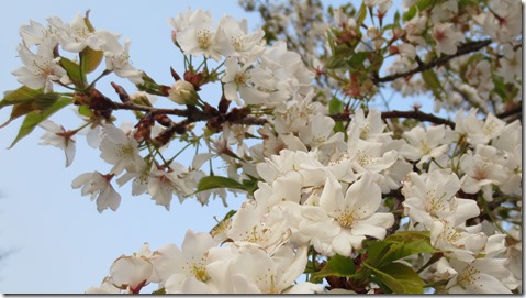 公務員試験面接セミナー