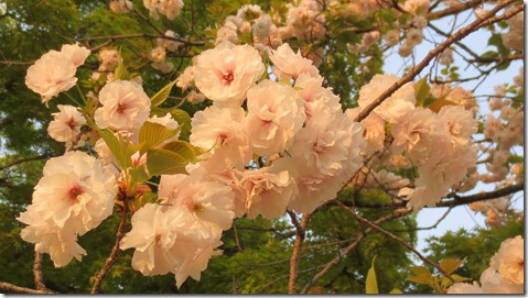 公務員試験面接セミナー