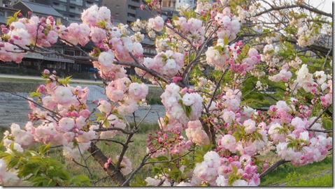 公務員試験面接セミナー