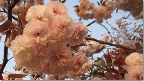 公務員試験面接セミナー