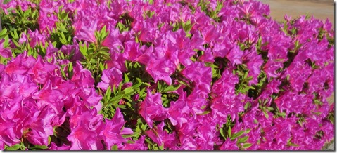 公務員試験面接セミナー