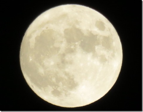 公務員試験面接セミナー