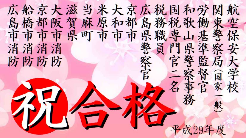 公務員試験面接セミナー 合格実績 平成29年度